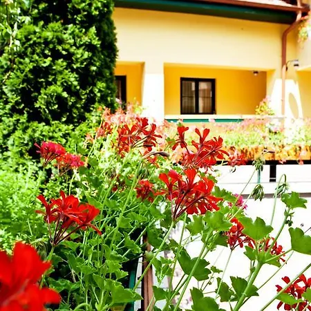 Mathias Rex Hotel 3*