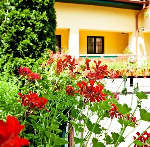 Mathias Rex Hotel 3*